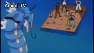 Pokemon Tổng Hợp (Ep.16) _ Cá chép vua tiến hóa #PokemonTongHop_tap16