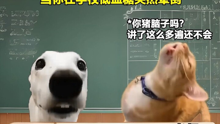 当低血糖的你在学校突然晕倒合集