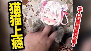 猫猫舒服了也是会叫的！！！