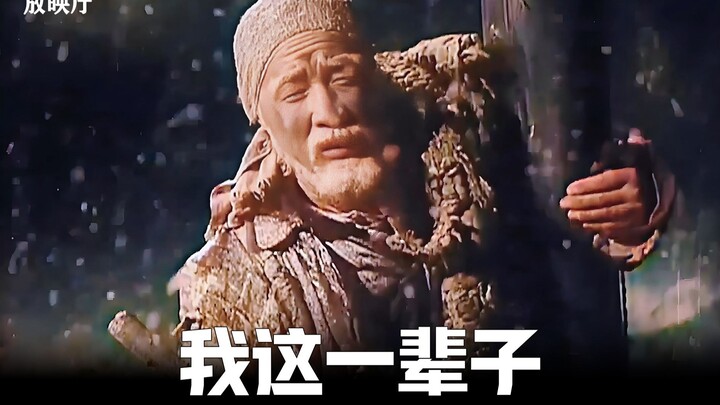 Thuở nhỏ chẳng hiểu nổi tác phẩm của Lão Xá, đến khi trưởng thành, tôi mới thấu hiểu niềm bi cảm và 