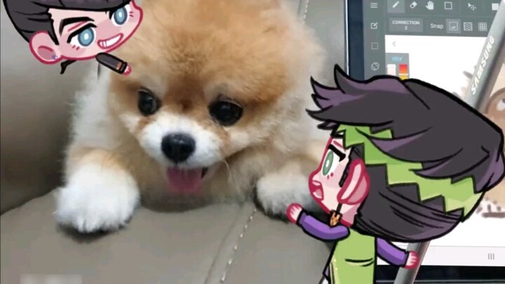 วาดรูปสุนัขด้วย Rohan✒!【ได้รับอนุญาตพิมพ์ซ้ำโดย MiuA】