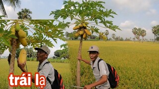 Trải Nghiệm Một Ngày Cùng Vợ Chồng Tư Quá Vui