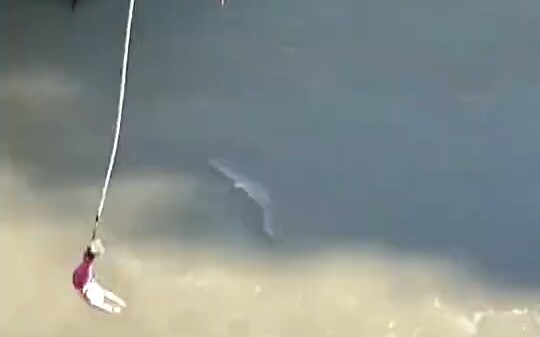 It turns out this is what the water below a bungee jump is used for