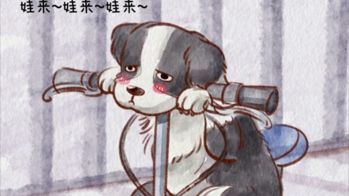 Border Collie: You’re exhausting me day after day! Teacher, did class run over?