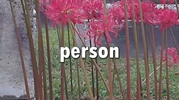 my favorite flower