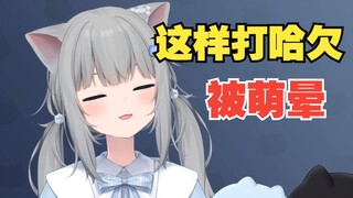 甘城猫猫这样打哈欠..被萌晕了