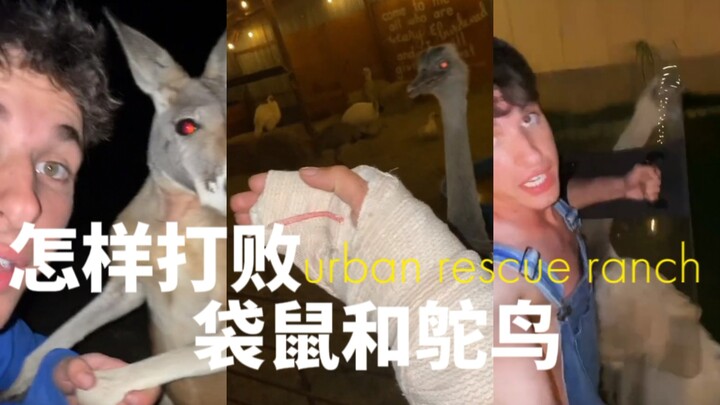 Wildlife Rancher: วิธีเอาชนะจิงโจ้และนกกระจอกเทศของฉัน
