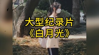 Phim tài liệu quy mô lớn "White Moonlight"