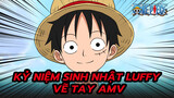 Lyffy trốn thoát khỏi mê cung! | Kỷ niệm sinh nhật Luffy AMV
