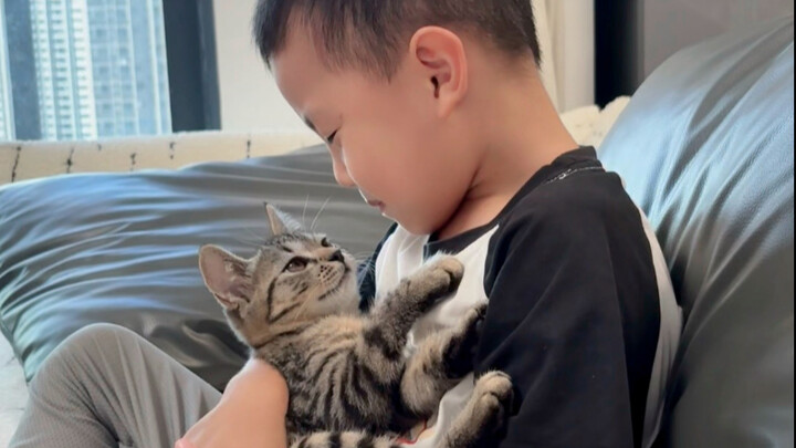 Some cats grow up while you’re still holding them—time flies and you can’t hold on to it, but Mom wi