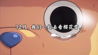 航海王壮志雄心这次不会等待太久，12月见