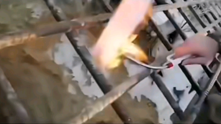 做的视频直接爆死了