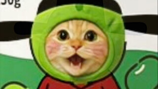 网上所有耄耋图案商品均未授权过