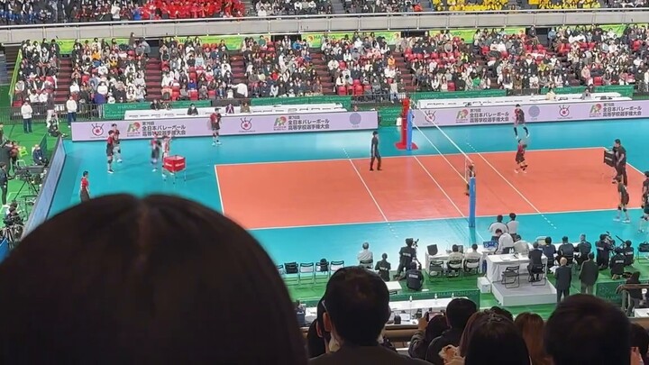 Chungao vlog｜In their world, I was a little Meihua in the stands for a day｜The volleyball boy came i