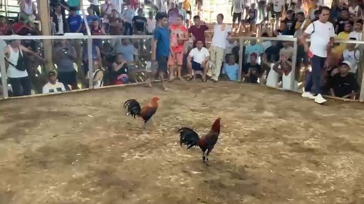 My 8months UNKNOWN BL WIN