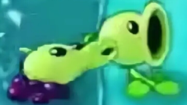 Bảy hạt đậu này thật là không ổn chút nào!