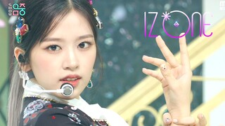 201212 IZONE - Panorama