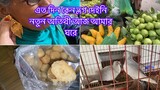 Bengali Vlog || আসুন নতুনের সাথে পরিচয় করয়ে দেই || Ms Bangladeshi Vlogs ||