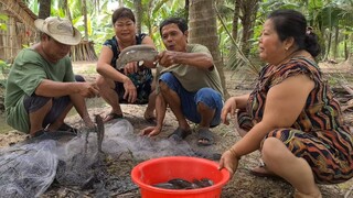 Cùng Gia Đình Rủ Nhau Ra Vườn Chài Cá và Một Kết Quả Thật Bất Ngờ | TKQ & Family T970