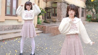 【الملك مياو】لطيف くてごめん❤️أنا آسف جدًا لكوني لطيفًا جدًا