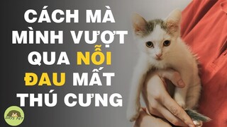 Cách vượt qua nỗi đau mất mát thú cưng |Dayspet