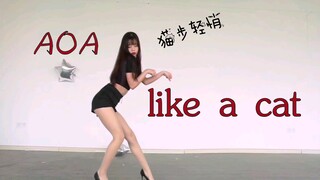 【奶牙】悄悄躲进你怀里～AOA--猫步轻悄 like a cat~