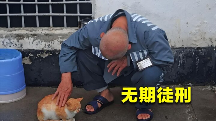 What happens when inmates serving “life sentences” grow old? If they can no longer care for themselv