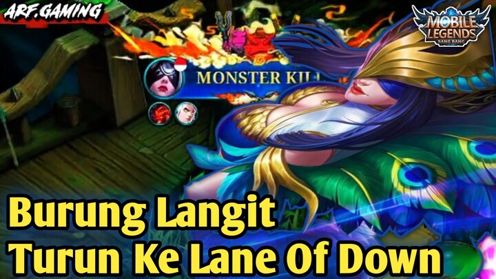 Burung Langit Turun Ke Lane Of Down🔥Brawl Jadi Ladang Perburuan Parsha❗❗