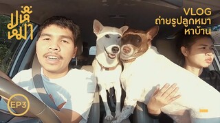 (EN) ถ่ายรูปหมาหาบ้านยังไงให้น่ารัก ? - มหึหมา EP3