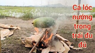 Cá Lóc Đồng Nướng Trong Trái Đu Đủ Món Ăn Dân Dã Miền Tây #vợchồngmiềntâytv