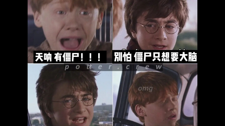 【哈利波特】只有哈迷才能看懂的梗（第三十一弹）
