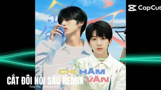 CẮT ĐÔI NỖI SẦU REMIX