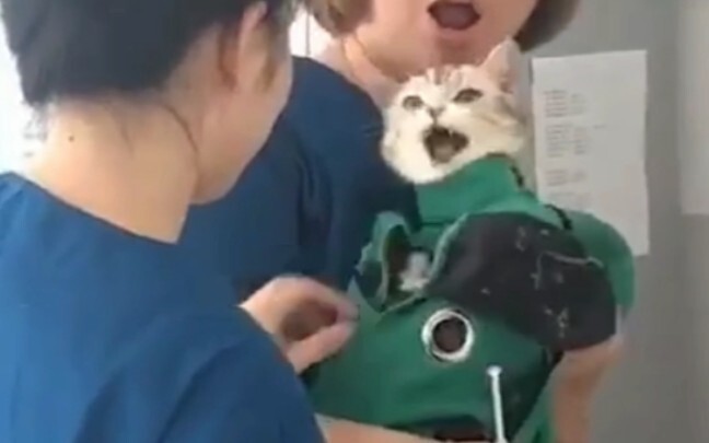 Who comes to rescue me?