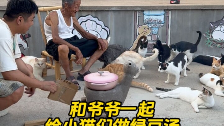 Chắc không còn chú mèo nào chưa được uống chè đậu xanh đâu nhỉ?