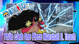 Thời đại của những anh hùng! Marshall D. Teach | One Piece Marshall D. Teach