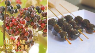 Ang lipote, kulay violet at napapanahong prutas daw ngayon! Ano ang lasa? | Kapuso Mo, Jessica Soho