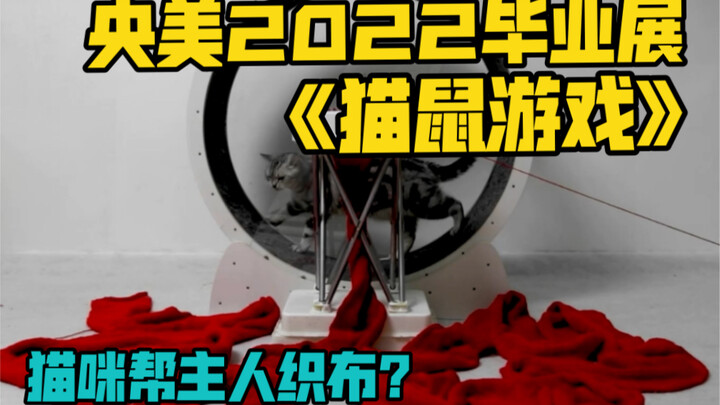 这只猫咪帮主人拿到了央美毕业展 一等奖！