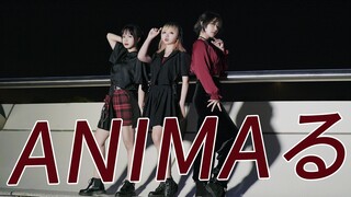 【Cake x Bright Yellow x Wife】ANIMAる