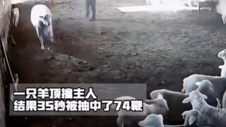 Anda dengan tegas memulai pertarungan tim, dan rekan satu tim Anda dengan tenang menyaksikan pertaru