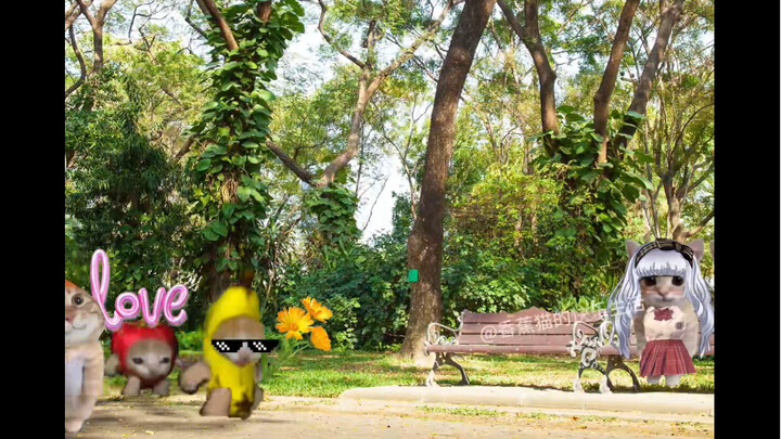 Cuộc tấn công tình yêu của mèo chuối