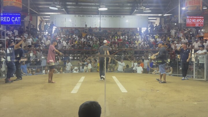 2nd fight loss 3stag derby Pilar coliseum WLW 8-15-26