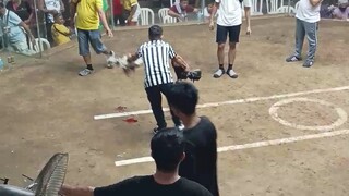 win win win