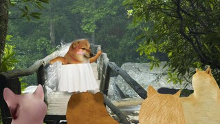 生活的意义是什么