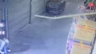فتاة تلعب بالهاتف المحمول فتتفاجأ بمواجهة ذئب صغير في عينيه، كاميرا المراقبة تلتقط لحظة لا تُصدق