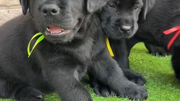 #การท้าดวลอัปโหลดวิดีโอครั้งที่3