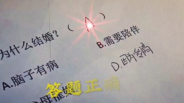 Why Did You Get Married?