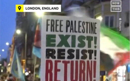 “จากโซลถึงนิวยอร์ก ทั่วโลกกำลังให้การสนับสนุนปาเลสไตน์” Free PALESTINE