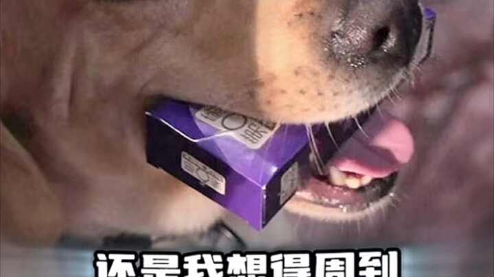 ＃电影再见李可乐  可乐很懂事，但好像懂得有点太多了。