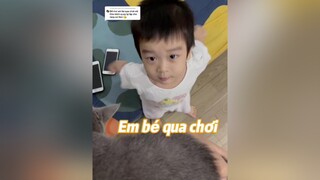 Trả lời   Em bé lại qua chơi típ nè 😂🤣 cat mèo cáokhongchanh