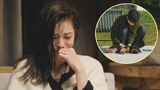 Anjing Ketua Pegawai Eksekutif mengingatkan Cinderella anjingnya yang meninggal dunia, dia menangis.